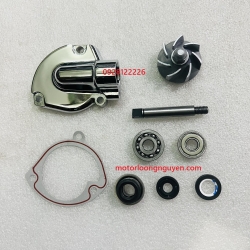 BỘ BƠM NƯỚC ĐẦY ĐỦ XE REBEL USA 