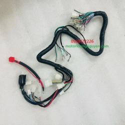 BỘ DÂY ĐIỆN CG125 HOẶC XE CHINA XE ĐỘ XĂNG CƠ