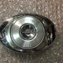 HỘP LỌC GIÓ ZIN HARLEY DAVIDSON SOFTAIL 1450CC